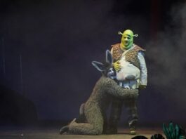 Shrek e Ciuchino in Shrek - Il Musical